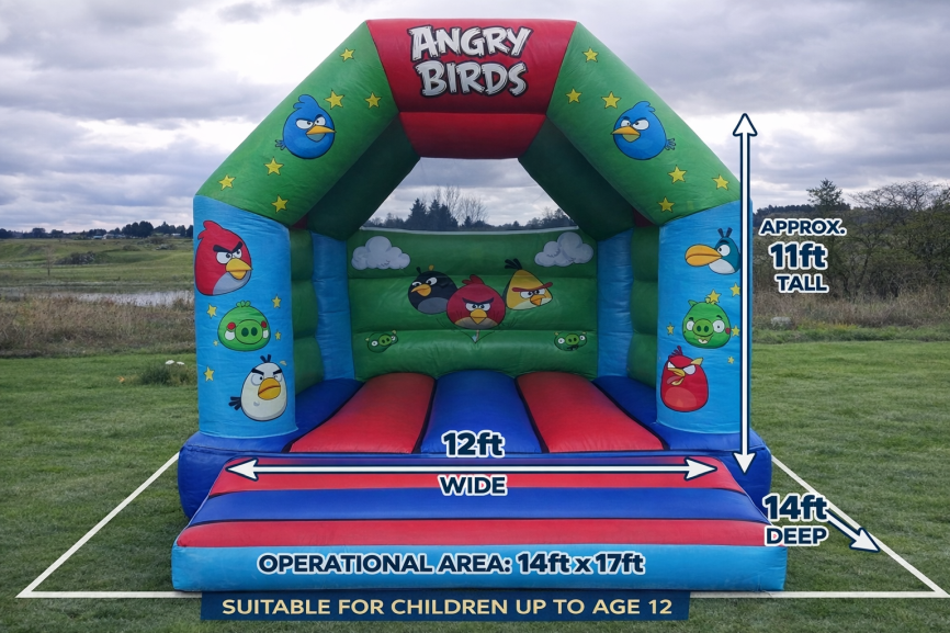 Birds bouncer medium size guide