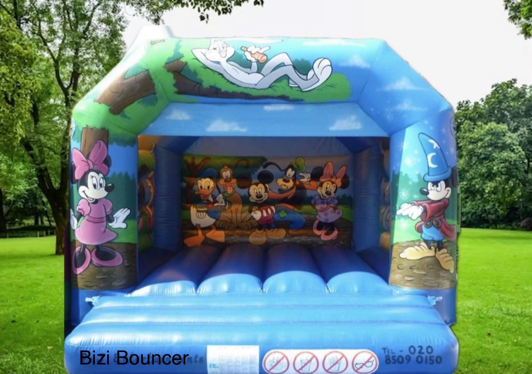 character theme medium bouncy castle